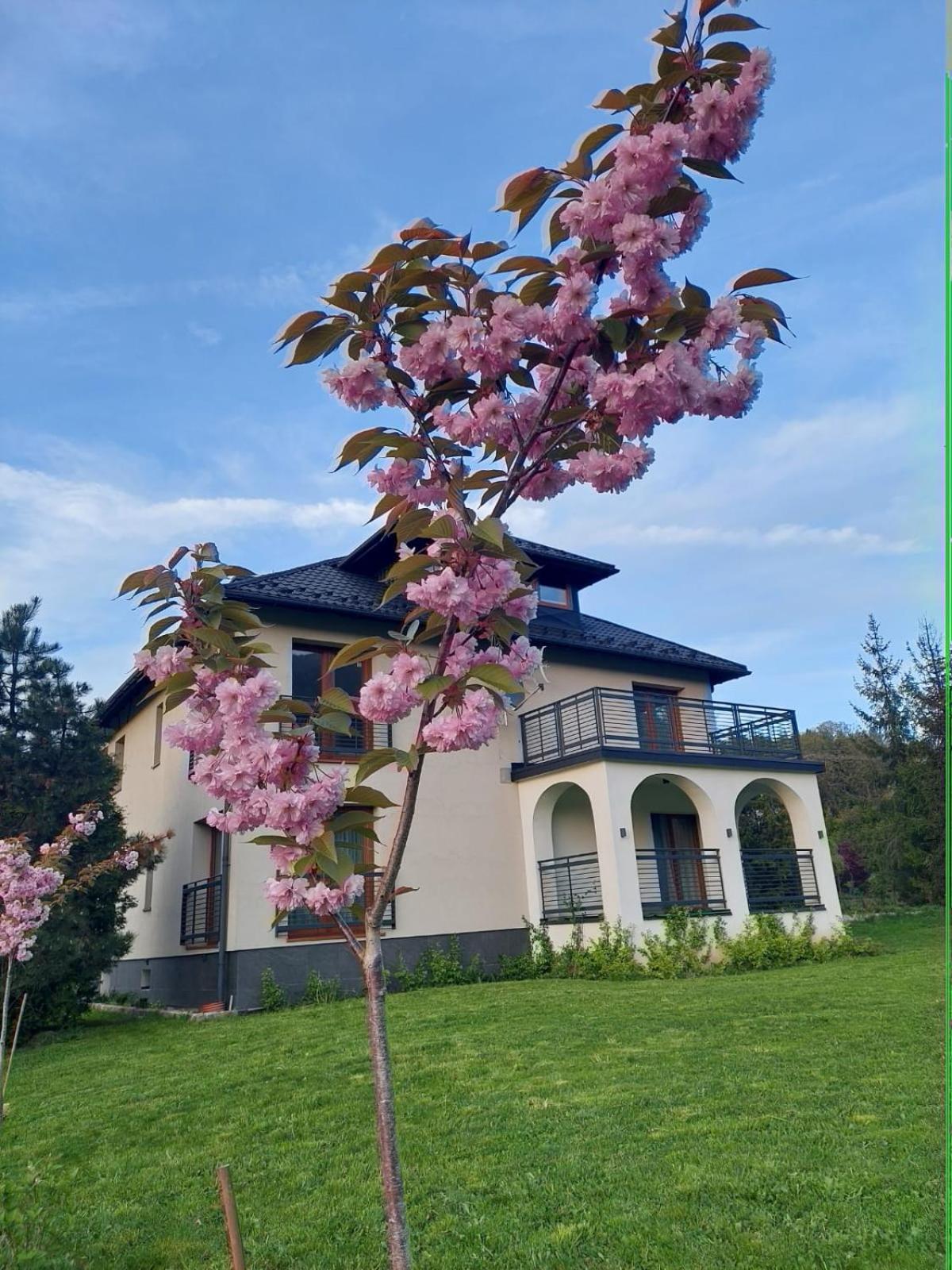 Apartamenty Brenna Klimorowka 外观 照片